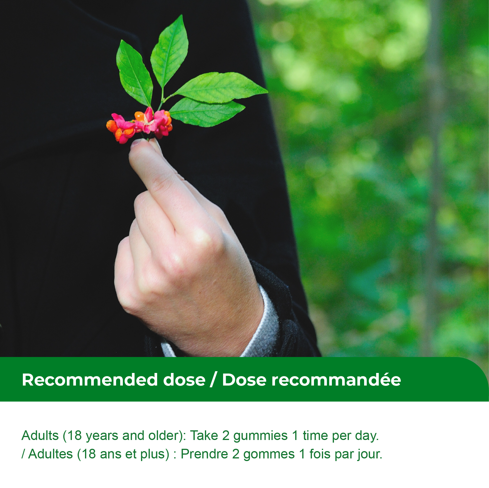 Nources Canadian Ginseng