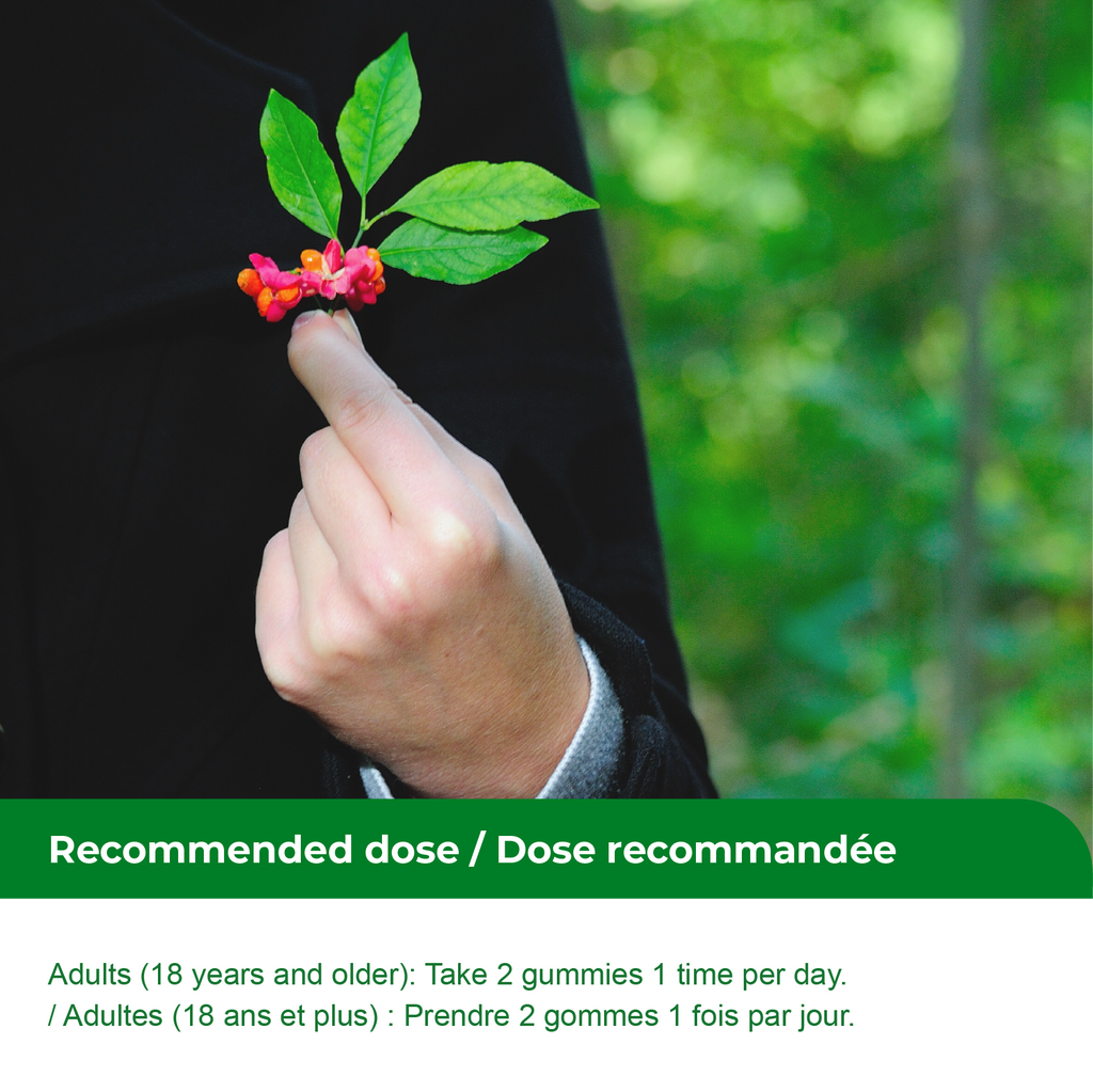 Nources Canadian Ginseng