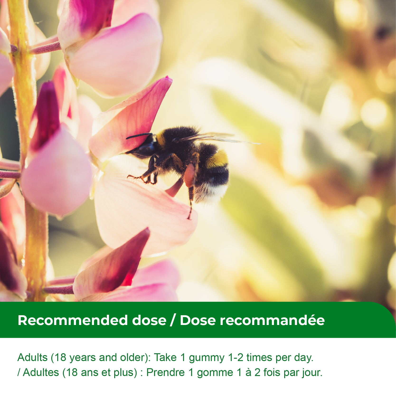 Nources Bee Propolis