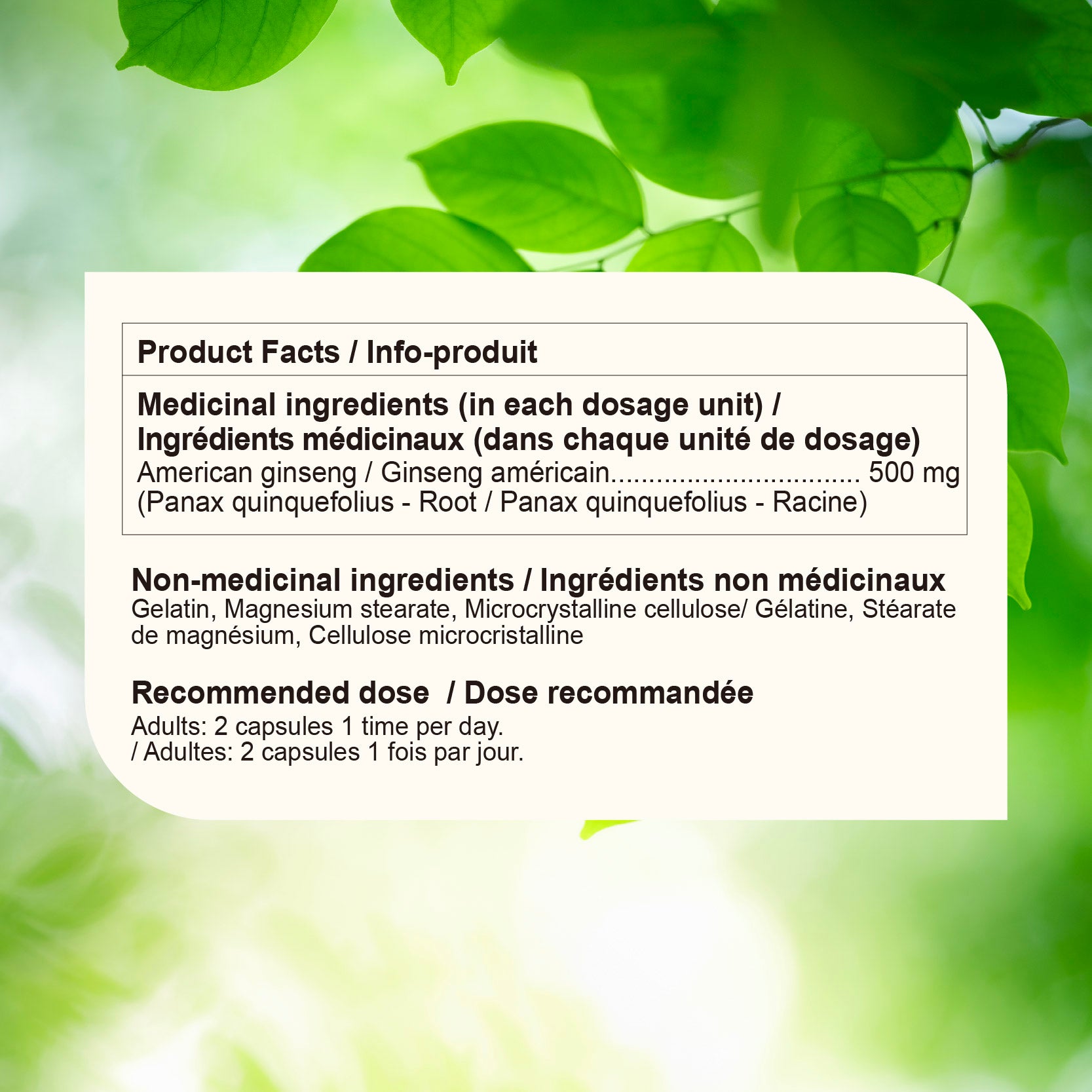 Nources American Ginseng 500 mg 60 Capsules