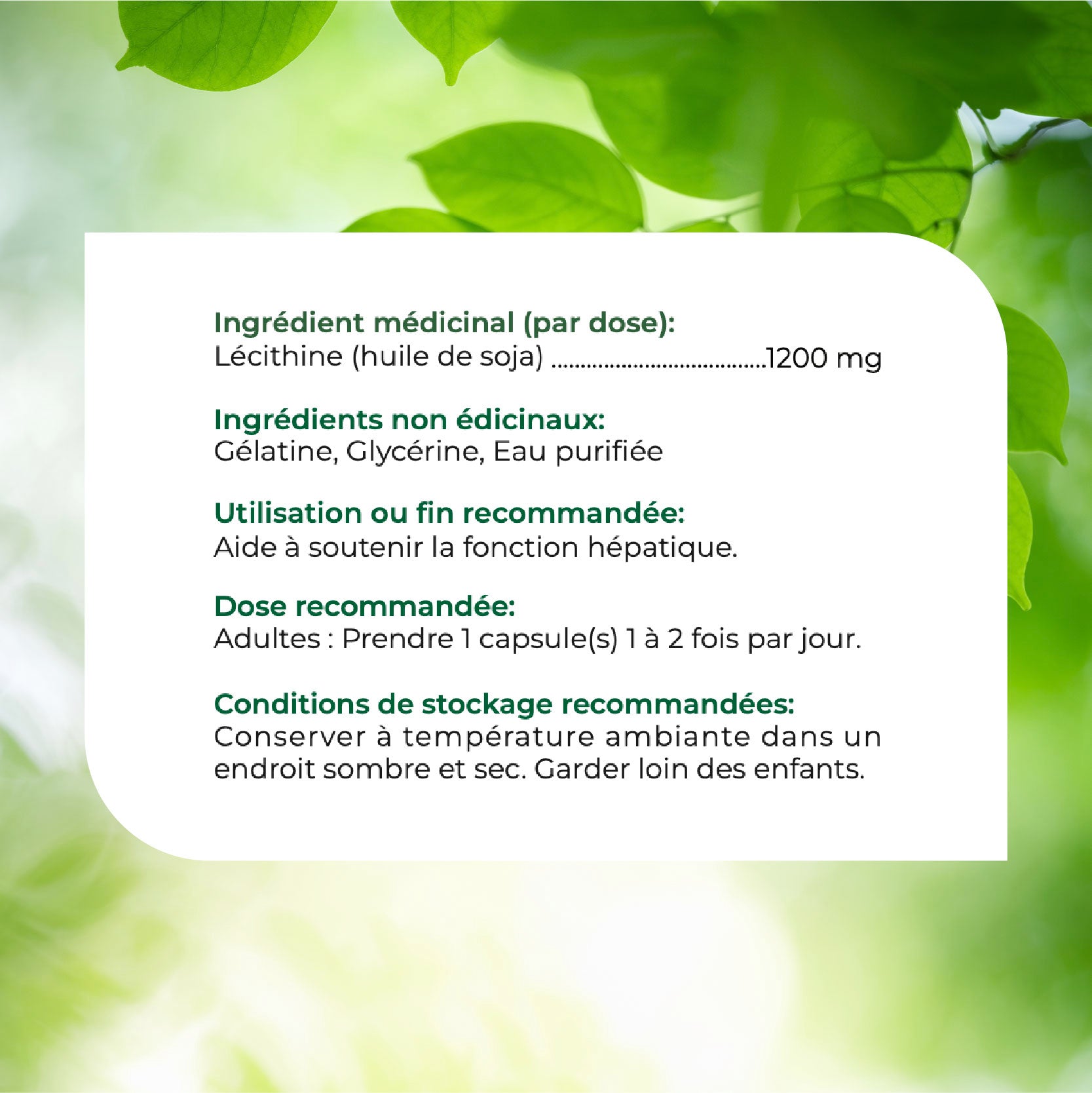 Nources Lecithin 300 Softgels