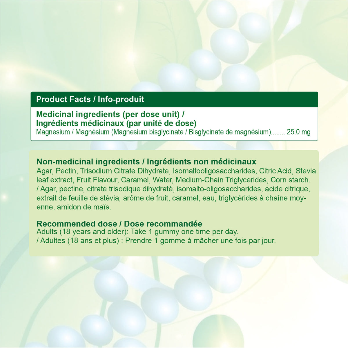 Nources Mega Magnesium Gummy