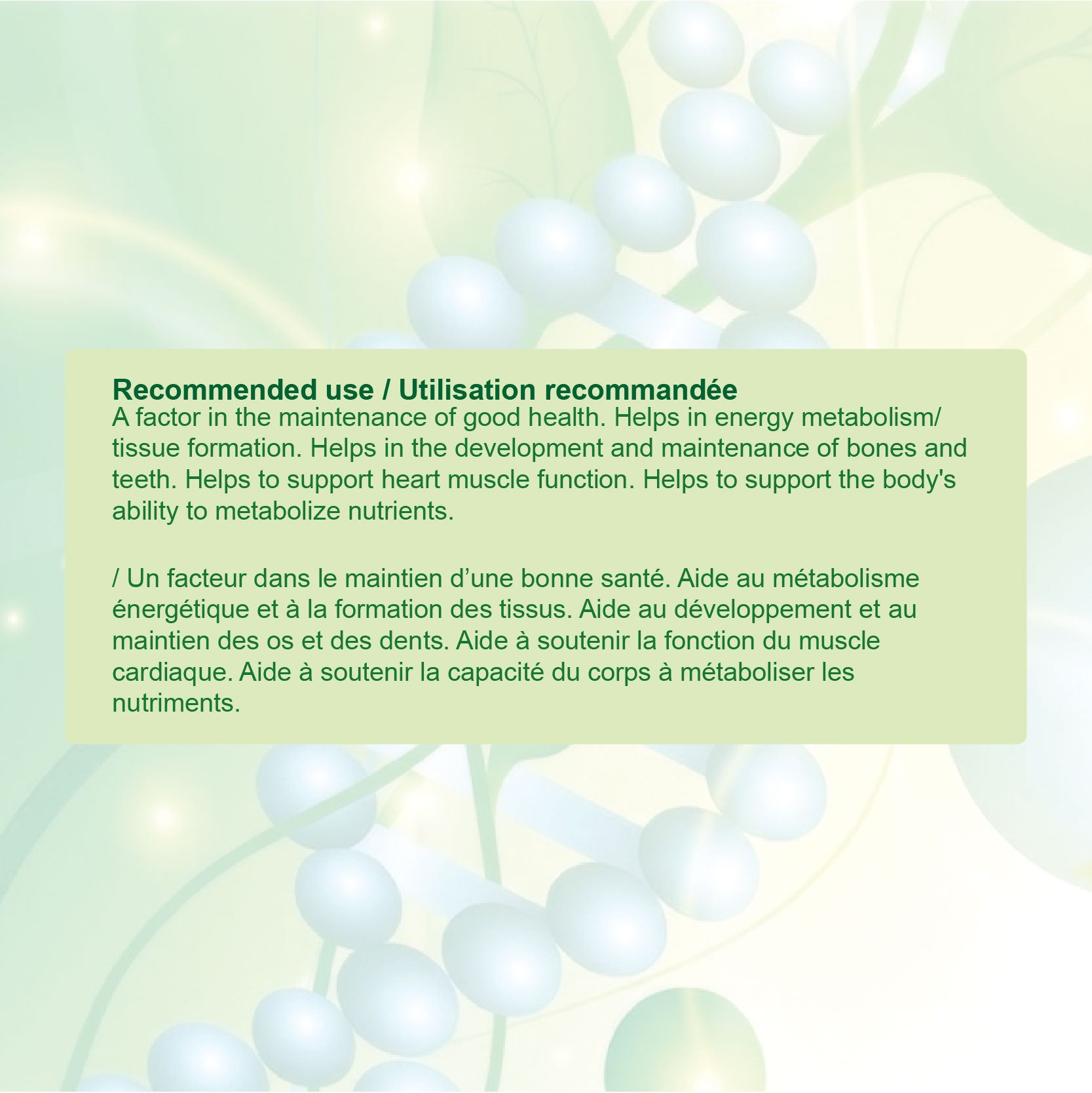 Nources Mega Magnesium Gummy