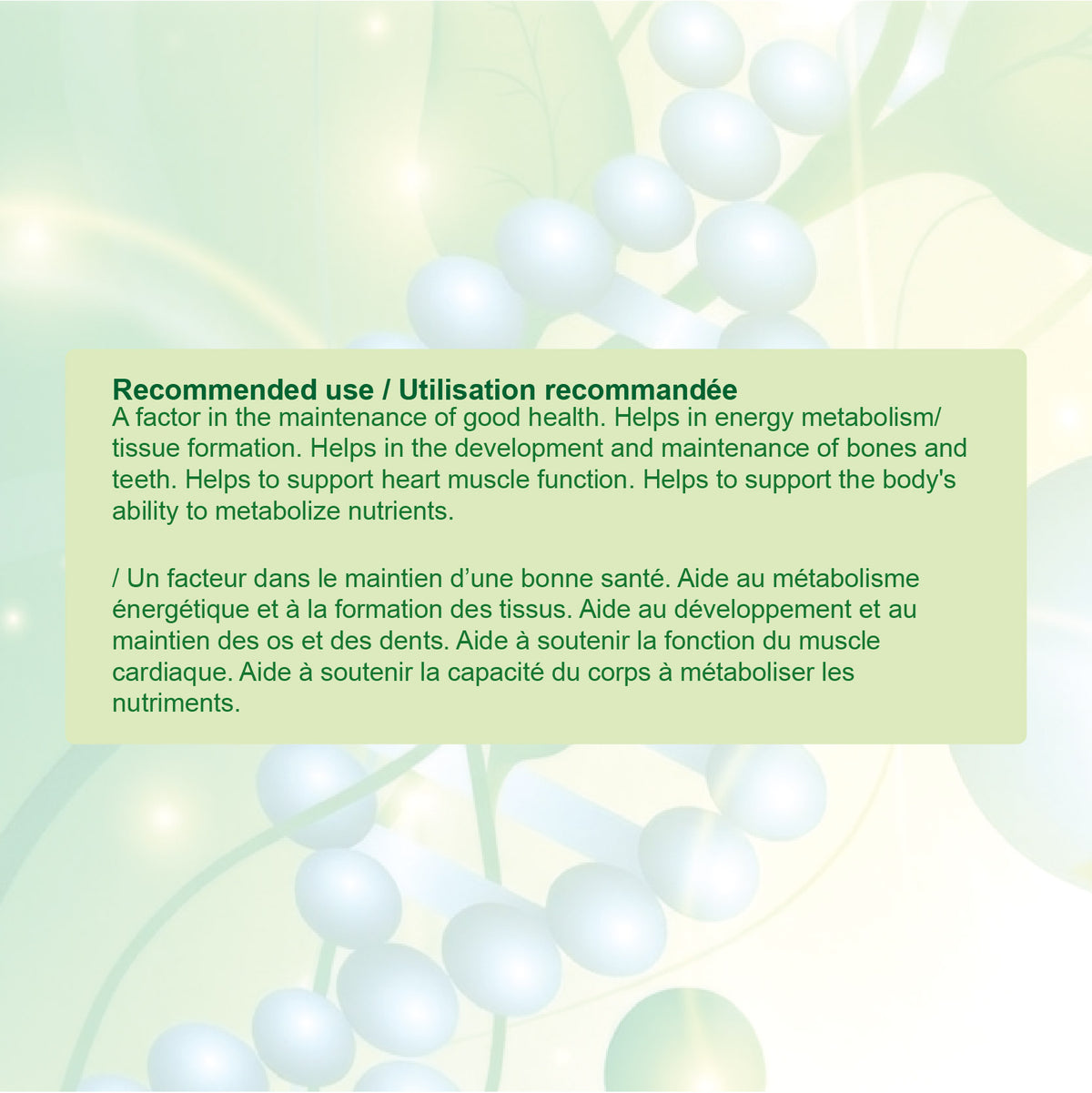 Nources Mega Magnesium Gummy