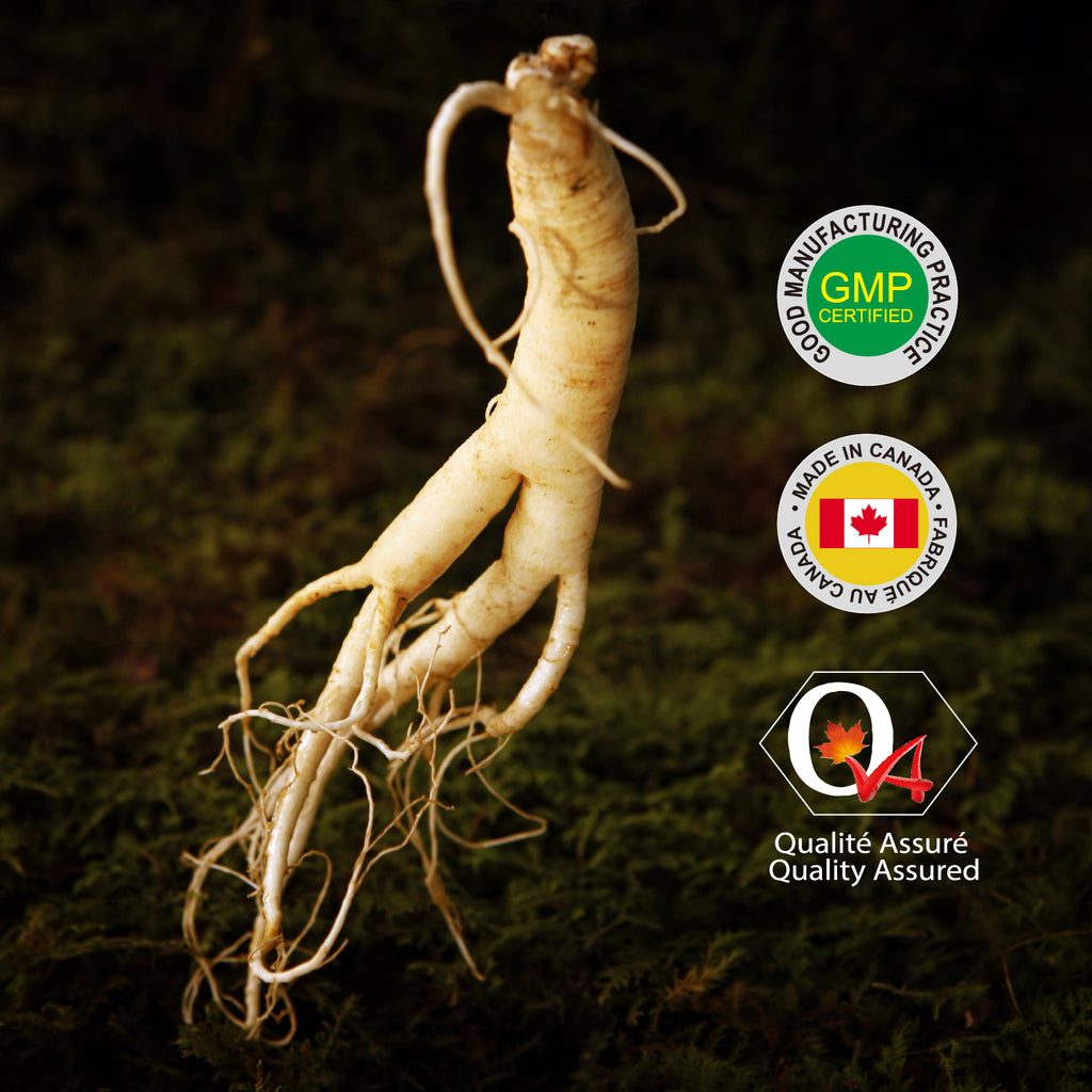 Nources Ginseng 1KG