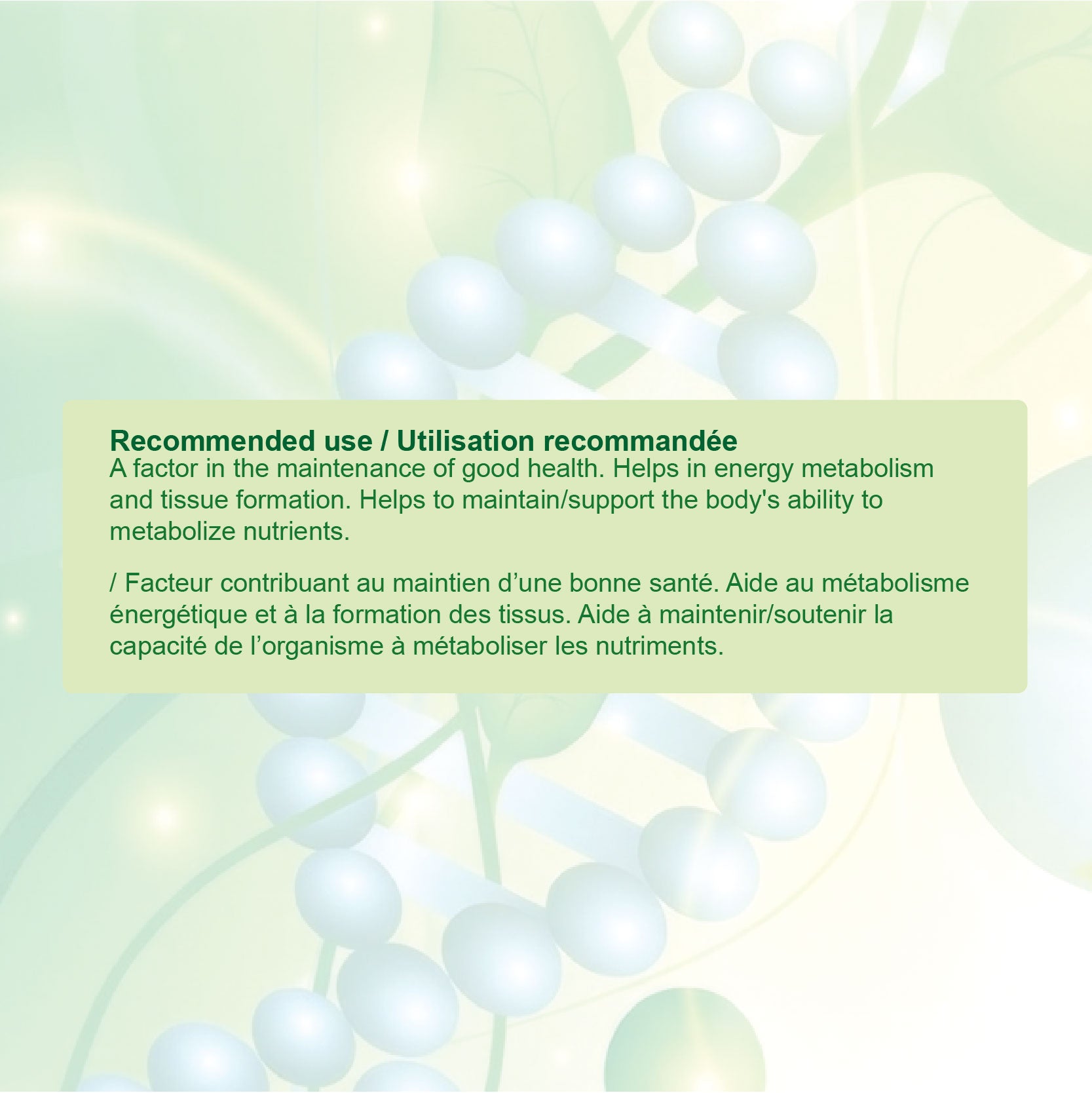 Nources Vitamin B6 Gummy